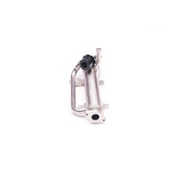 Egr-ventil Esen skv 14SKV126 ESEN SKV
