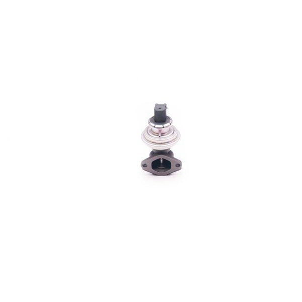 Egr-ventil 12V Esen skv 14SKV129 ESEN SKV