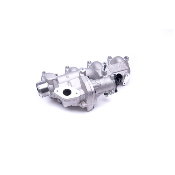 Egr-ventil 12V Esen skv 14SKV155 ESEN SKV