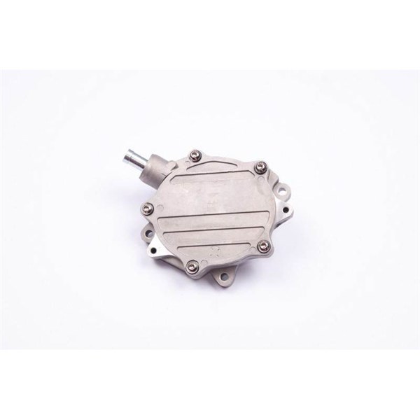 Vakuumpump, bromssystem Esen skv 18SKV015 ESEN SKV