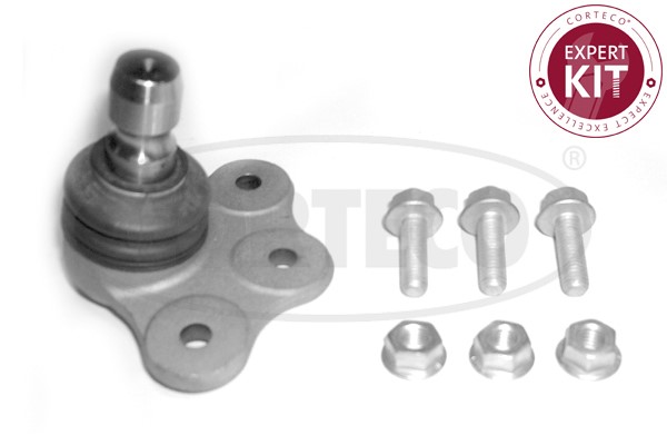 Kulled / Spindelled, framaxel höger, framaxel vänster Corteco 493 CORTECO