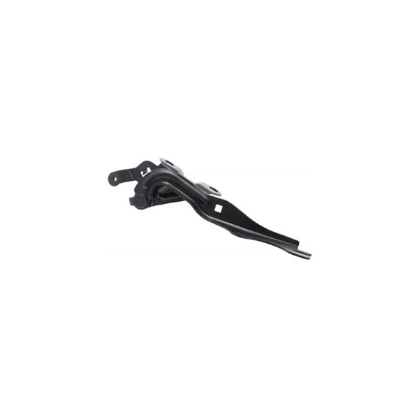 Mont.sats, motorhuv Febest 0599-GGRH FEBEST
