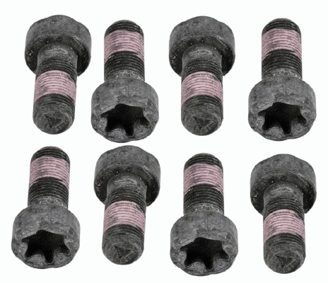 Skruvsats, svänghjul Sachs 1874 000 050 SACHS Skruvsats, svänghjul Sachs 1874 000 050 SACHS
