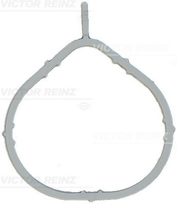 Packning, insugsgrenrör Victor reinz 71-17066-00 VICTOR REINZ