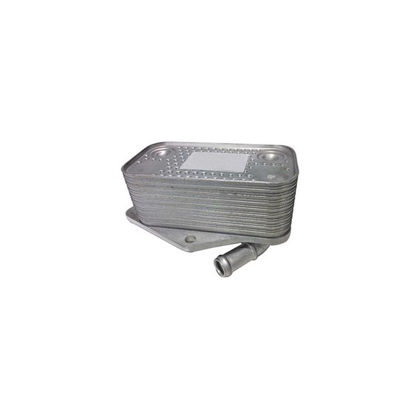 Oljekylare, motor