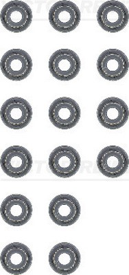 Packningssats, ventiler Victor reinz 12-53678-01 VICTOR REINZ