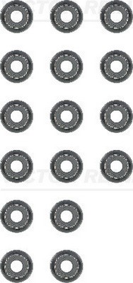 Packningssats, ventiler Victor reinz 12-54169-02 VICTOR REINZ