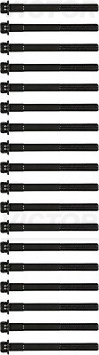 Bultsats, topplock Victor reinz 14-55037-01 VICTOR REINZ