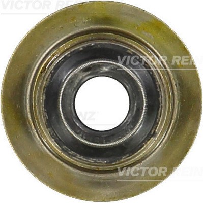 Ventilpackning Victor reinz 70-35893-00 VICTOR REINZ Ventilpackning Victor reinz 70-35893-00 VICTOR REINZ
