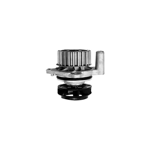 Vattenpump Borsehung B12688 Borsehung
