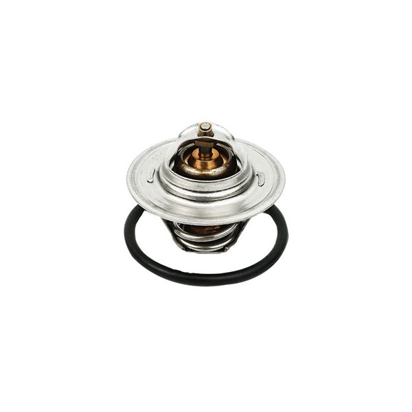 Termostat, kylvätska Borsehung B13140 Borsehung