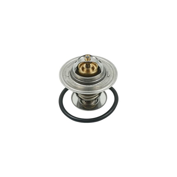 Termostat, kylvätska Borsehung B13141 Borsehung