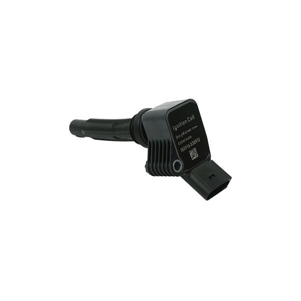 Tändspole Borsehung B15118 Borsehung