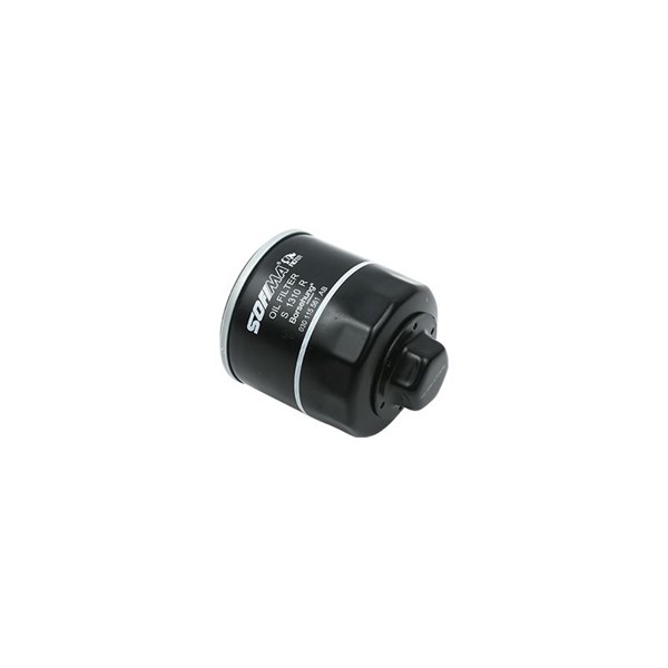 Oljefilter Borsehung B18217 Borsehung