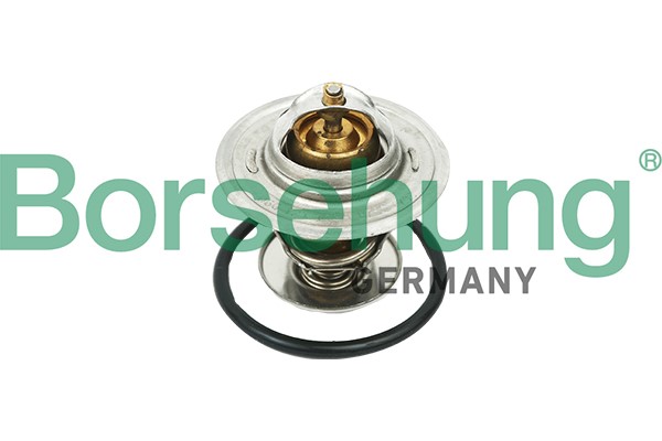 Termostat, kylvätska Borsehung B18268 Borsehung