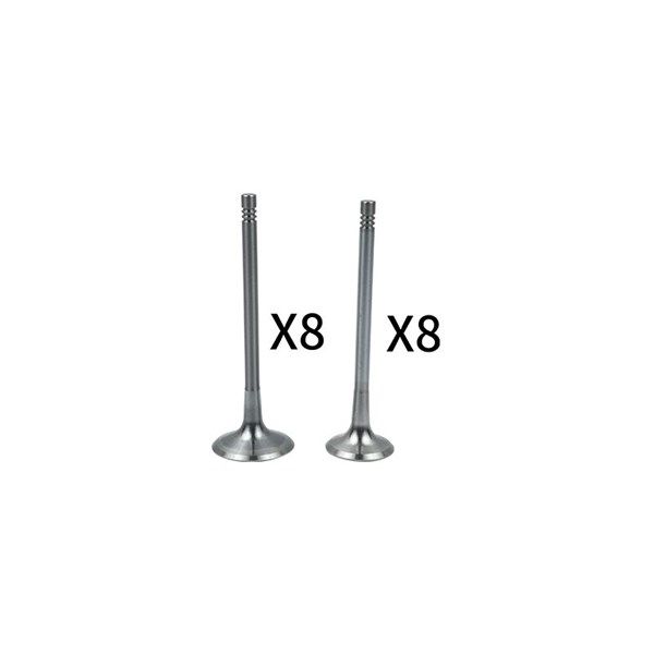 Insugsventil Borsehung B18634 Borsehung