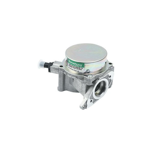 Vakuumpump, bromssystem Borsehung B18666 Borsehung