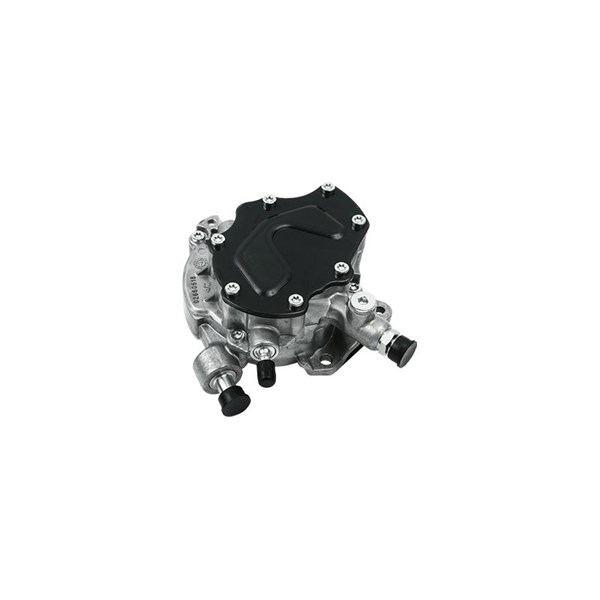 Vakuumpump, bromssystem Borsehung B18771 Borsehung