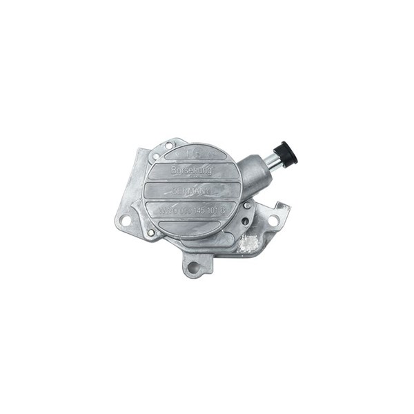 Vakuumpump, bromssystem Borsehung B18801 Borsehung