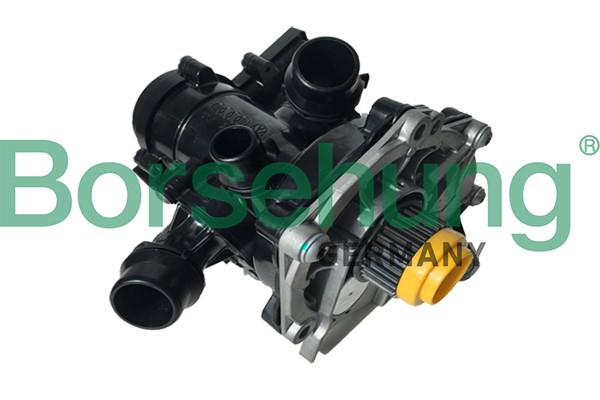Vattenpump Borsehung B18971 Borsehung