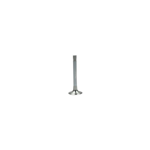 Avgasventil Borsehung B19003 Borsehung