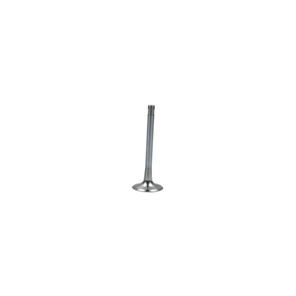 Avgasventil Borsehung B19008 Borsehung