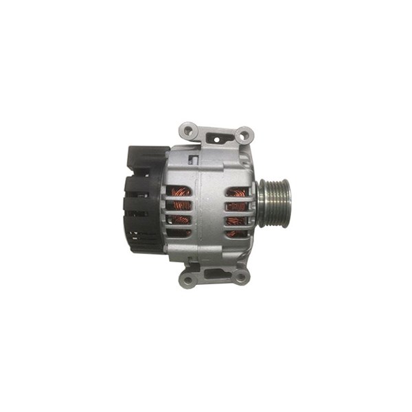 Generator Borsehung B19114 Borsehung