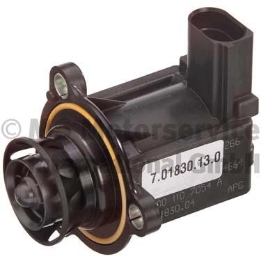 Wastegate PIERBURG