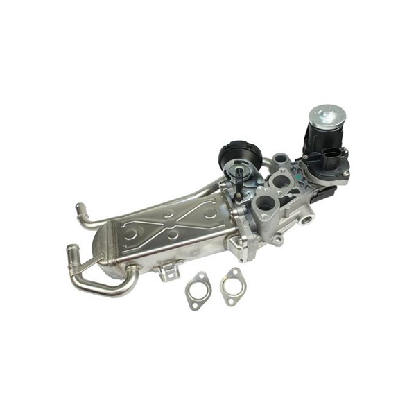 EGR-modul 12V