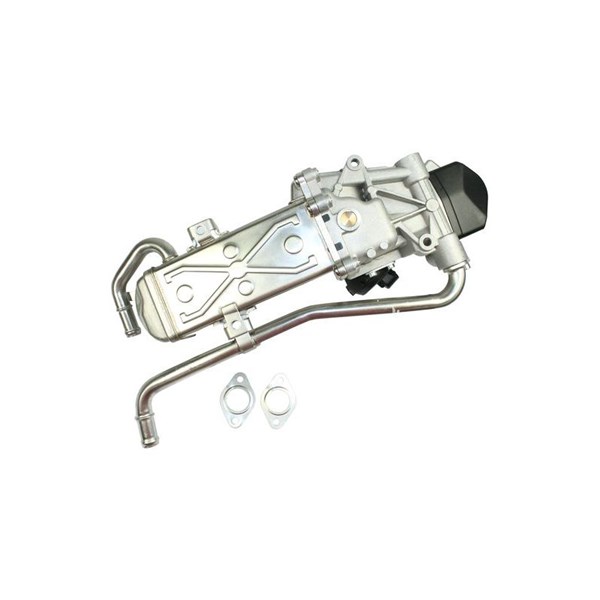 EGR-modul 12V