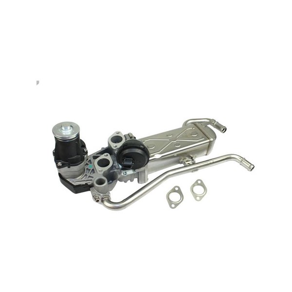 EGR-modul 12V