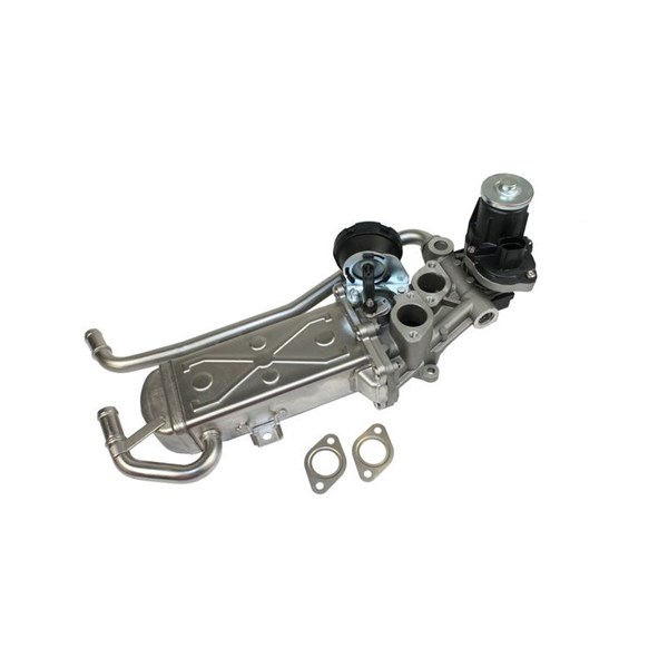 EGR-modul 12V