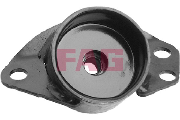 Fjäderbenslager, Bakaxel Fag 814 0070 10 FAG
