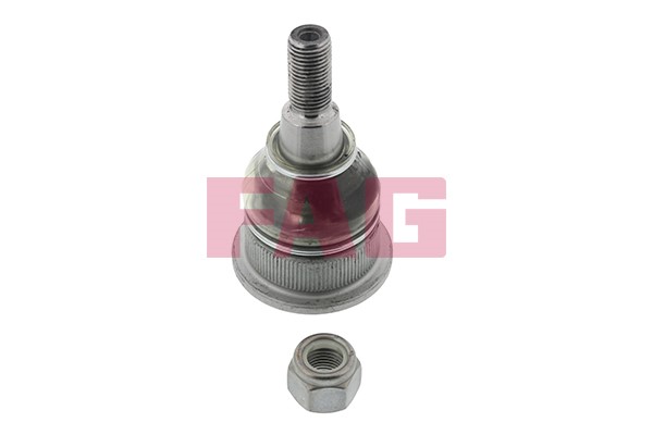 Kulled / Spindelled, Framaxel Fag 825 0164 10 FAG