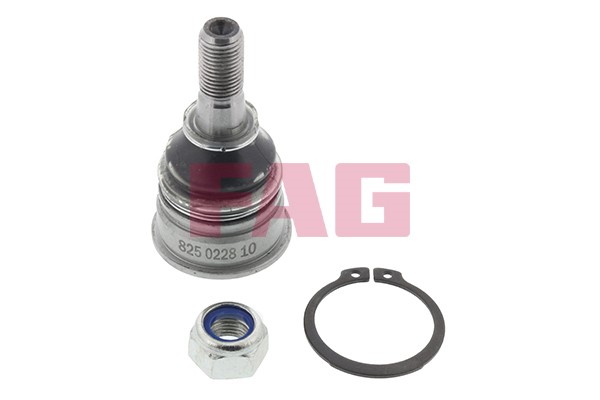 Kulled / Spindelled, Framaxel Fag 825 0228 10 FAG
