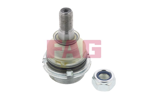 Kulled / Spindelled, Framaxel Fag 825 0256 10 FAG