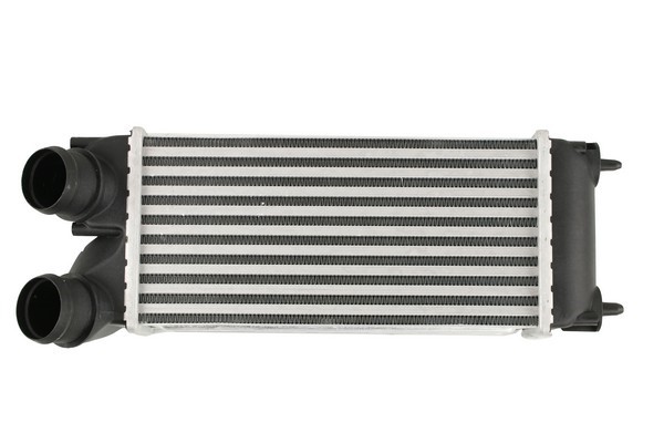 Intercooler Fast FT55573 FAST