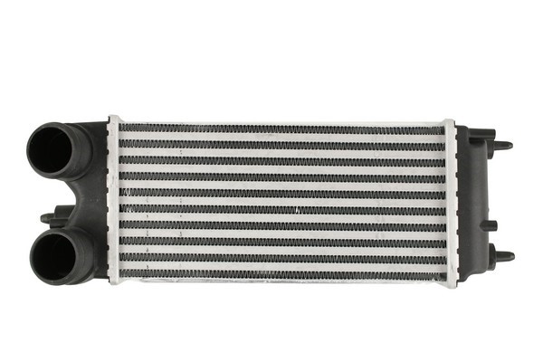 Intercooler Fast FT55574 FAST