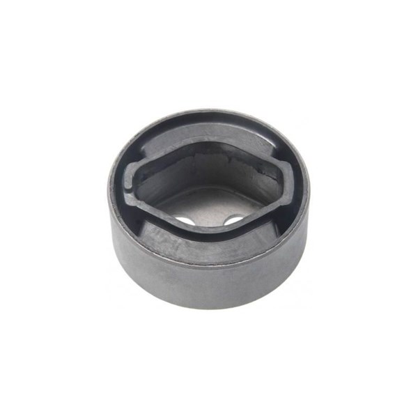 Fäste, differential, Nedre, Bakmonterad Febest TAB-AZT255DM FEBEST Fäste, differential, Nedre, Bakmonterad Febest TAB-AZT255DM FEBEST