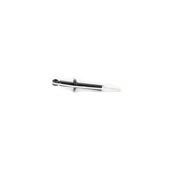 Stötdämpare Gastryck, Bakaxel Febest 1207G-002R FEBEST
