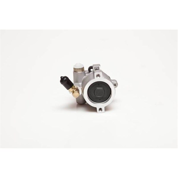 Servopump Esen skv 10SKV055 ESEN SKV