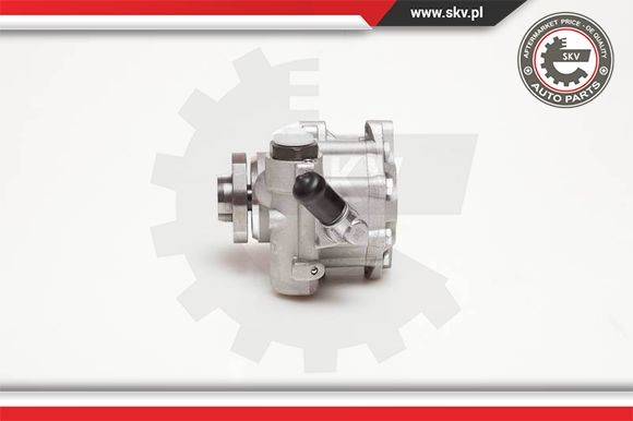 Servopump Esen skv 10SKV099 ESEN SKV