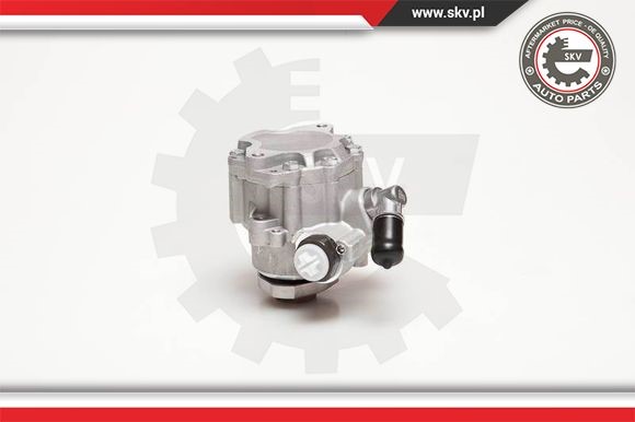 Servopump Esen skv 10SKV099 ESEN SKV