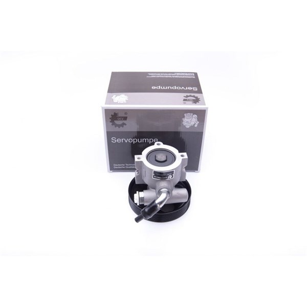 Servopump Esen skv 10SKV250 ESEN SKV