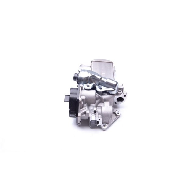 Egr-ventil Esen skv 14SKV152 ESEN SKV
