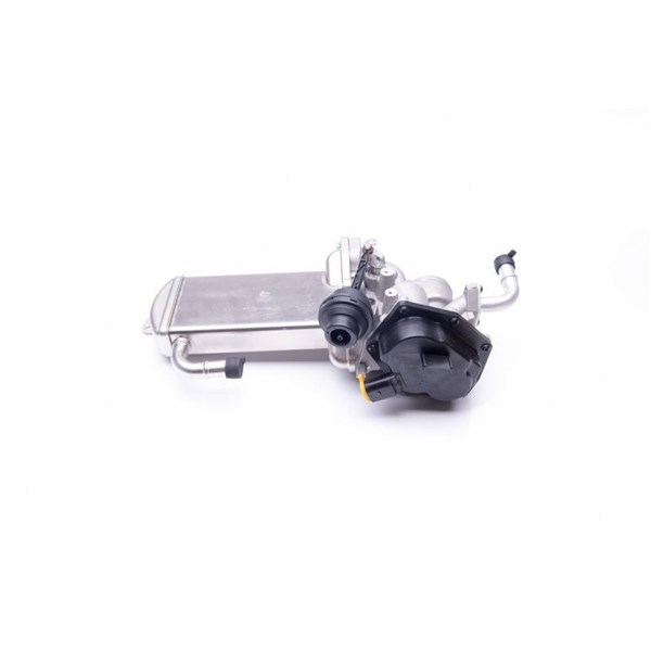 Egr-ventil 12V Esen skv 14SKV154 ESEN SKV