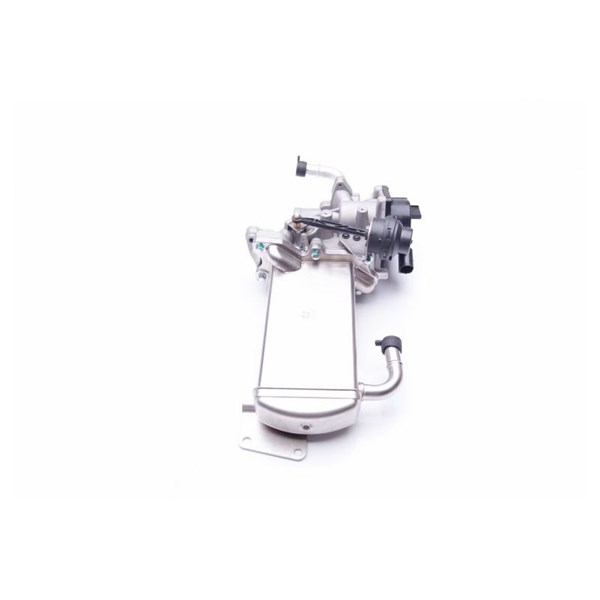 Egr-ventil 12V Esen skv 14SKV154 ESEN SKV