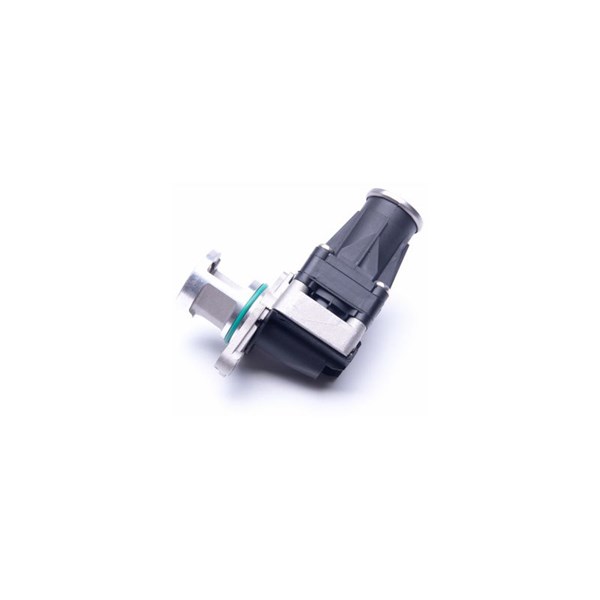 Egr-ventil 12V Esen skv 14SKV185 ESEN SKV