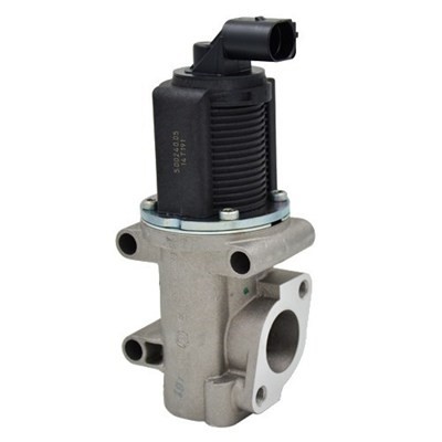 Egr-ventil Magneti marelli 571822112007 MAGNETI MARELLI