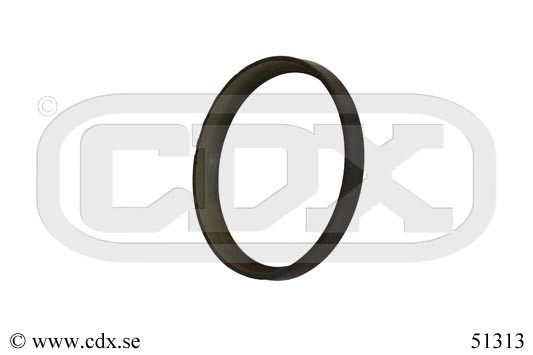 Sensorring, ABS, Bakaxel Cdx 51313 CDX